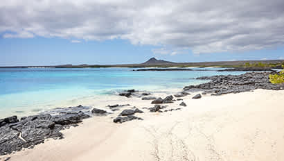 Study Abroad | Galápagos Islands Featured Image