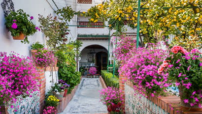 Study Abroad | Granada Featured Image