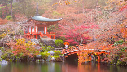 Study Abroad | Kyoto Featured Image
