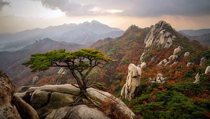 Full Time Internship | Seoul Featured Image