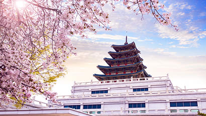 Full Time Internship | Seoul Featured Image