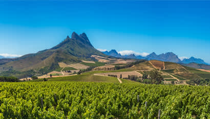 Study Abroad | Stellenbosch Featured Image