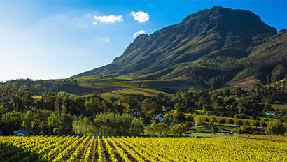 Study Abroad | Stellenbosch Featured Image