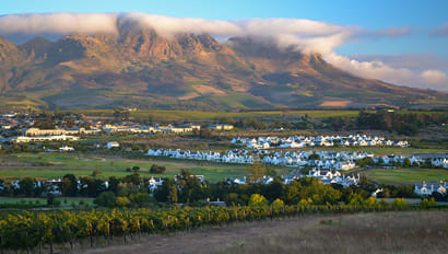 Study Abroad | Stellenbosch Featured Image