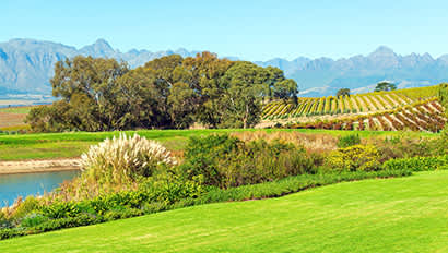 Study Abroad | Stellenbosch Featured Image