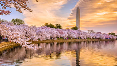 Full Time Internship | Washington D.C. Featured Image