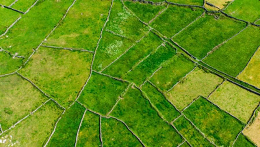 Got wanderlust? Study abroad with AIFS in Ireland.