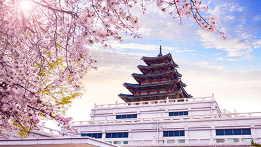 Got wanderlust? Study abroad with AIFS in South Korea.