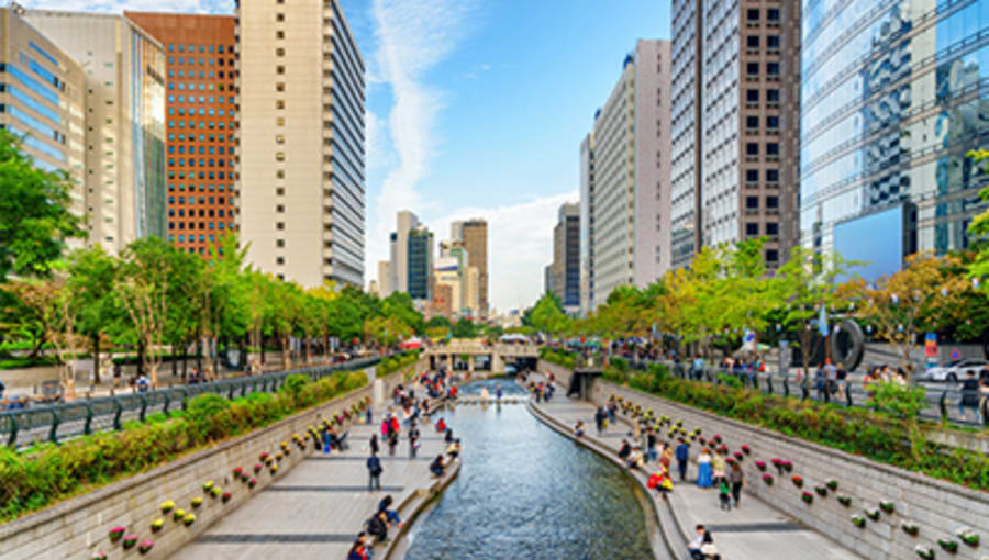Got wanderlust? Study abroad with AIFS in South Korea.