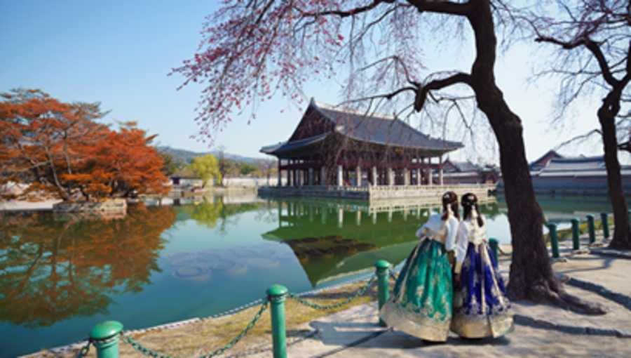 Got wanderlust? Study abroad with AIFS in South Korea.