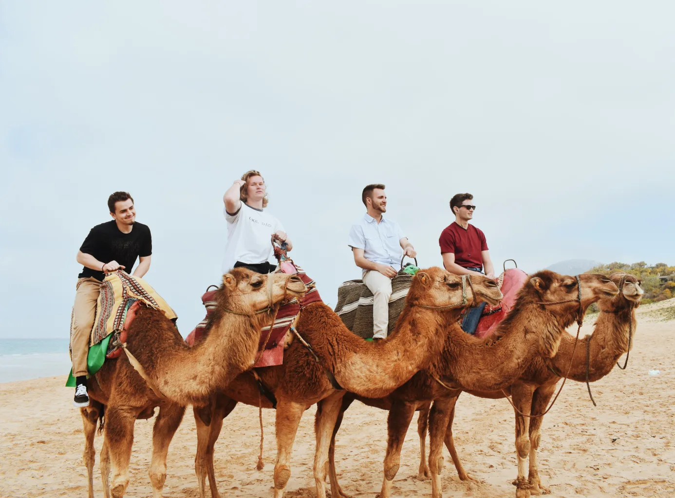 People on camels.