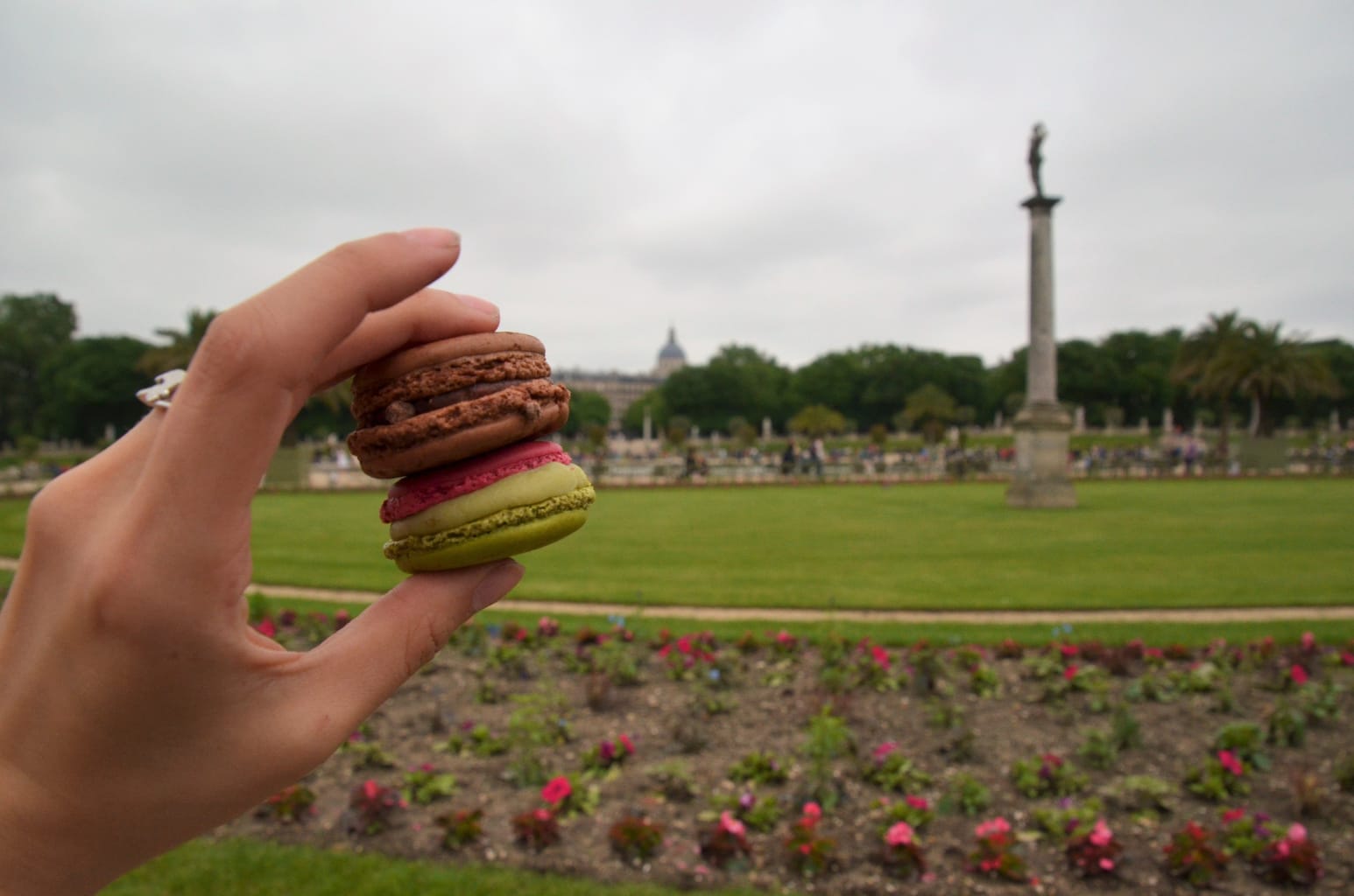 A hand holding two macarons.