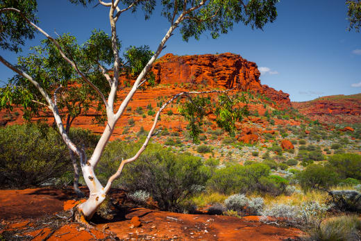 A landscape in Australia.