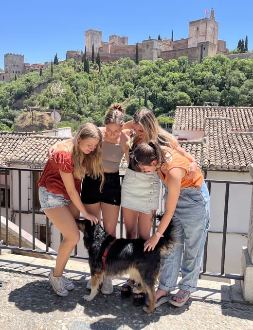 A group of students petting a dog.