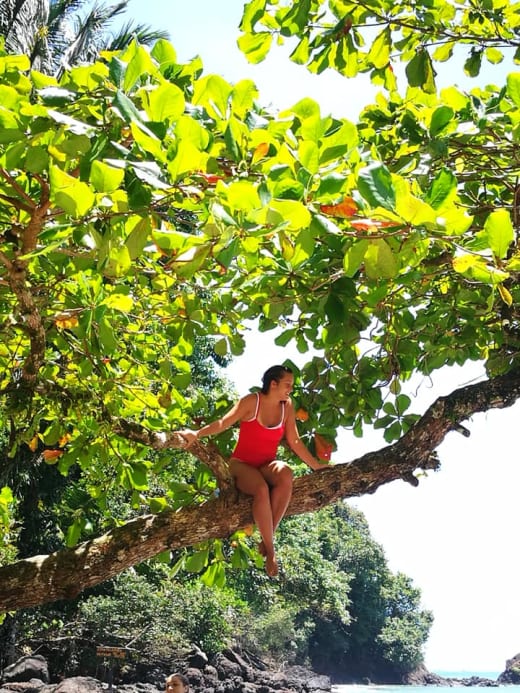 A student sitting on a tree branch.