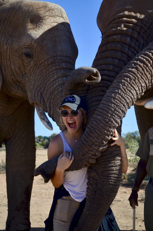 Girl with elephants.