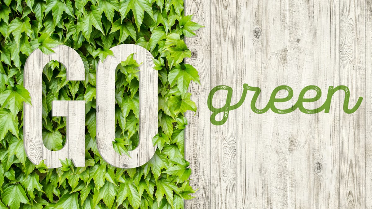 How to Continue Practicing Sustainability After Study Abroad