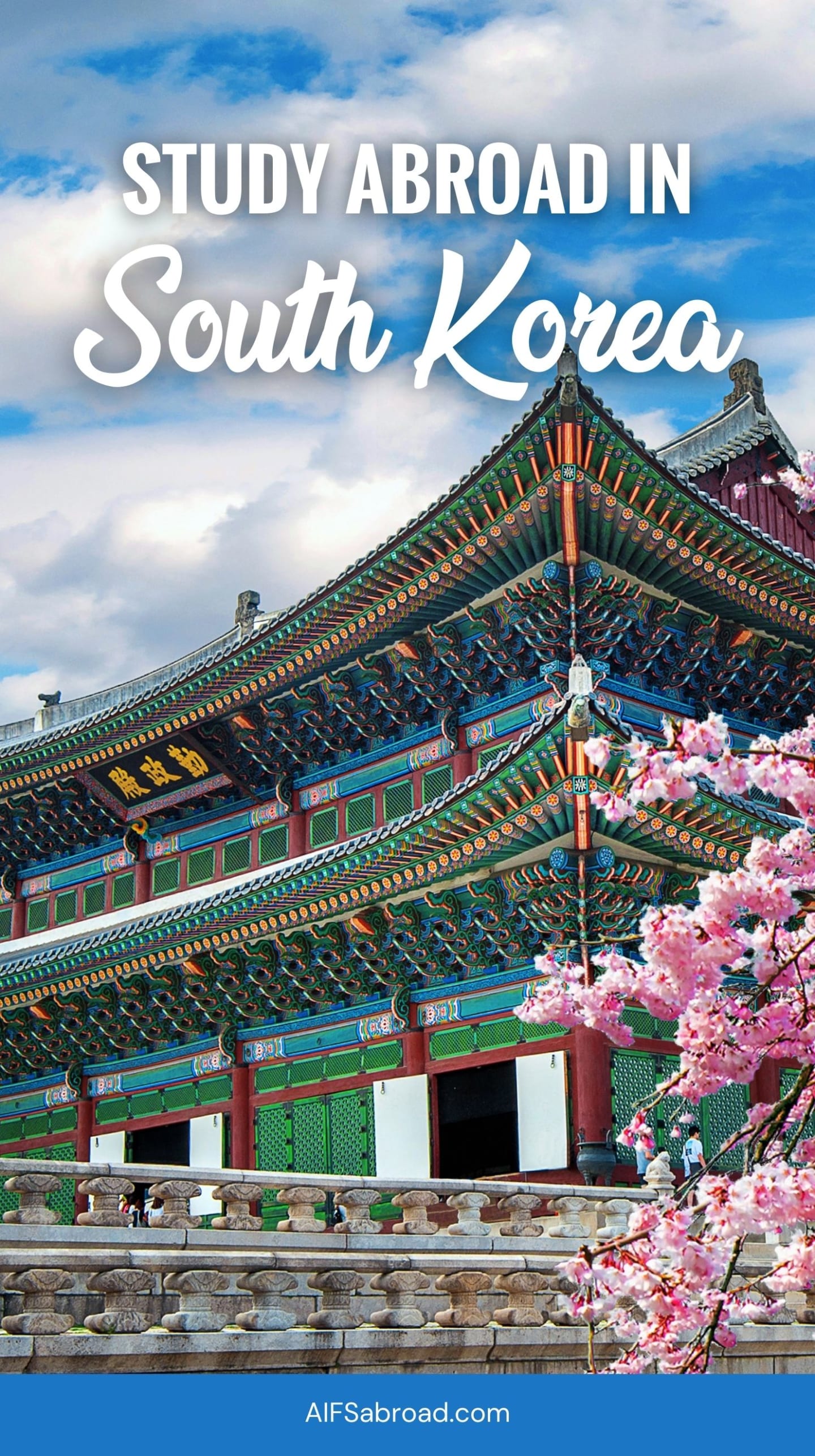 Study Abroad in South Korea