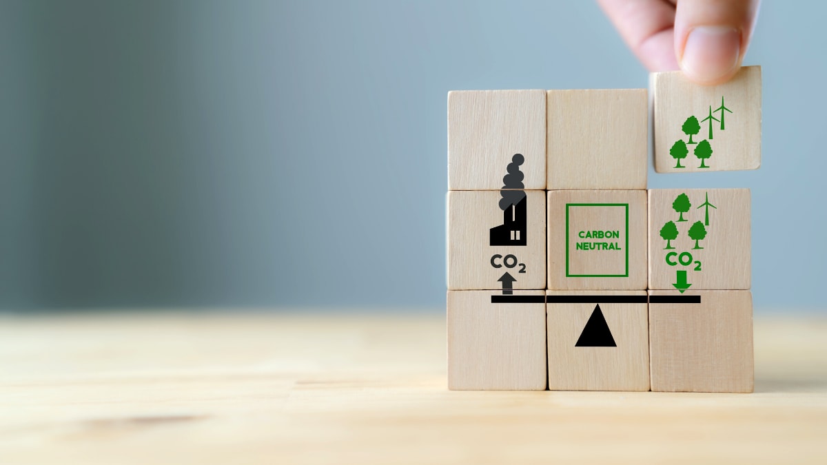 What is Carbon Offsetting? Why it Helps What is Carbon Offsetting? Why it Helps