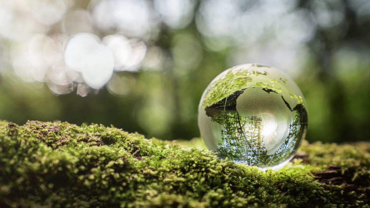 Prioritizing Sustainability: AIFS Abroad Green Initiative Prioritizing Sustainability: AIFS Abroad Green Initiative