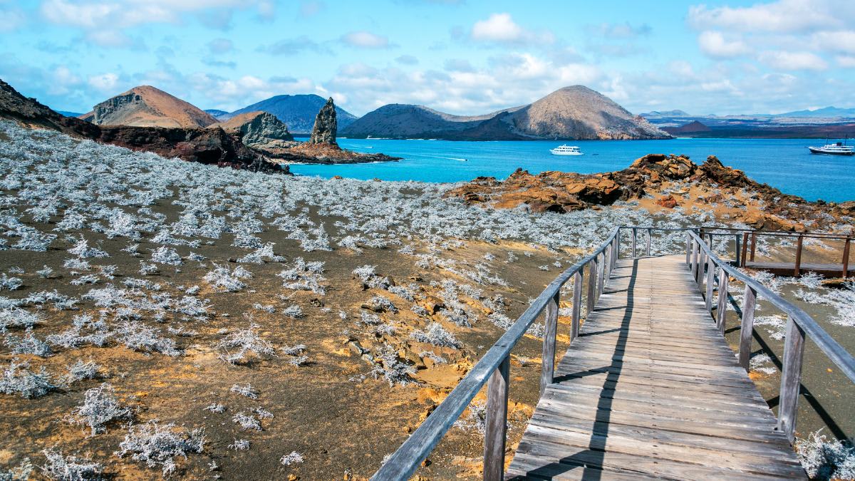 Here’s Why Summer is a Great Time to Study Abroad in Ecuador Here’s Why Summer is a Great Time to Study Abroad in Ecuador