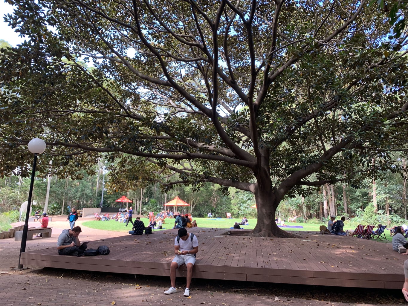 A park in Sydney, Australia.