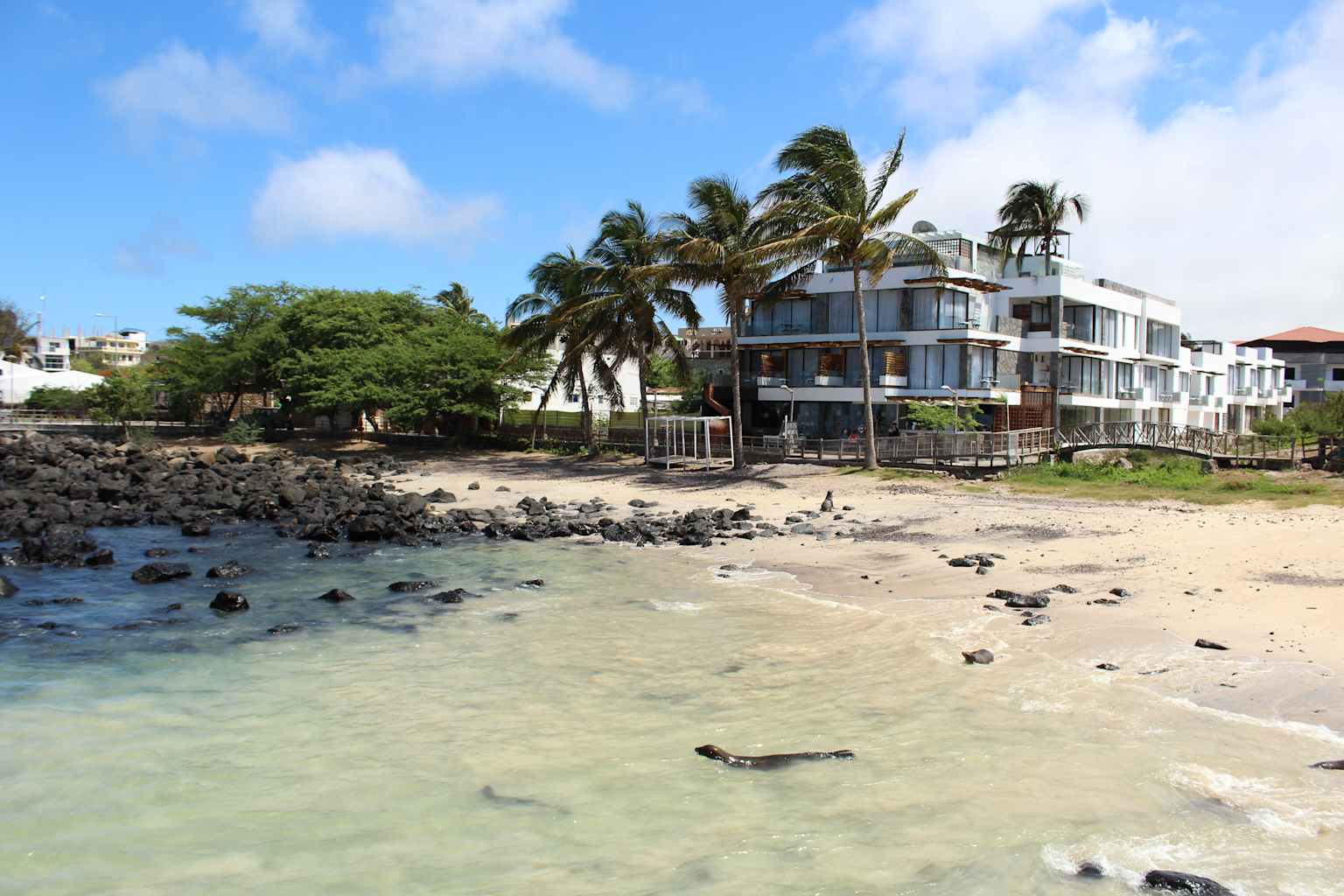 A beach in Ecuador.
