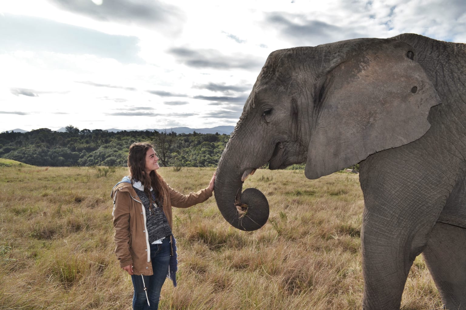 Woman touching an elephants trunk.
