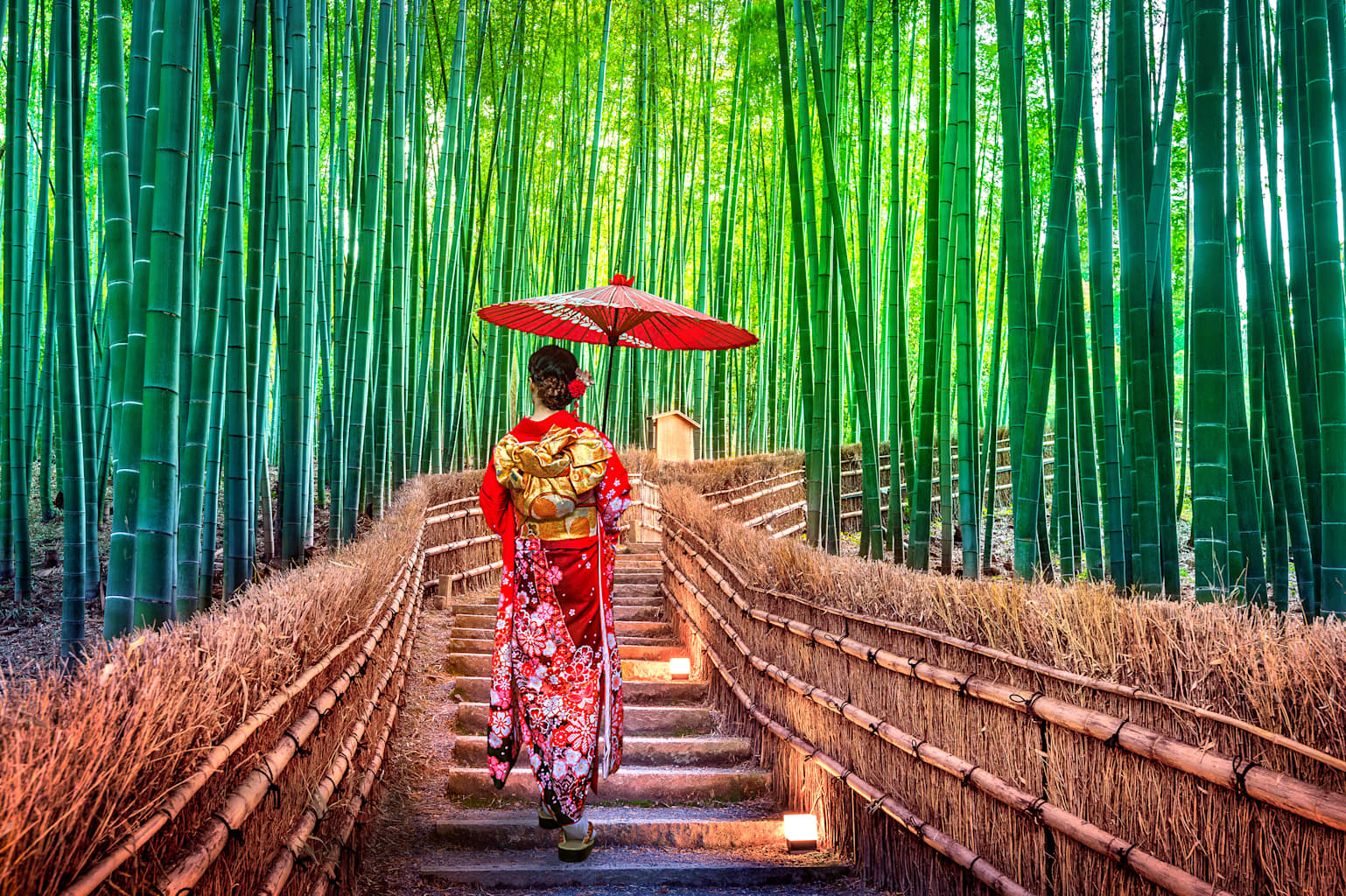 Woman in kimono walking in the bamboo forest, Kyoto, Japan.