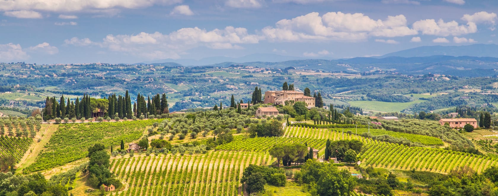 Wine region near Florence, Italy.