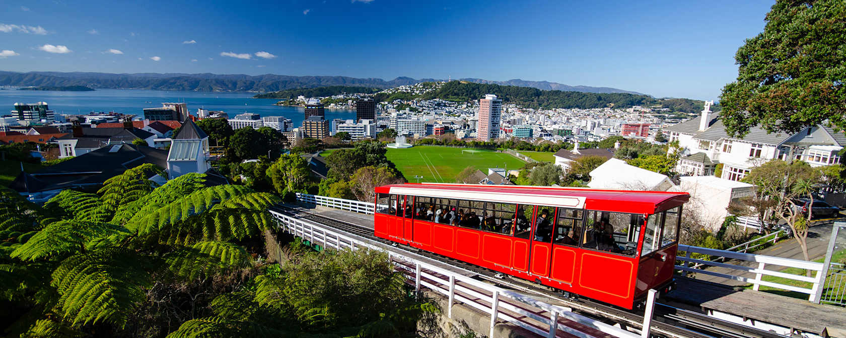 Study Abroad in Wellington, New Zeland, with AIFS Abroad.