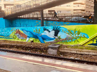 AIFS Abroad participant's view from a train.