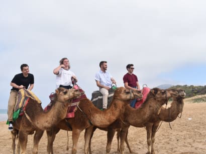 Four students riding camels.