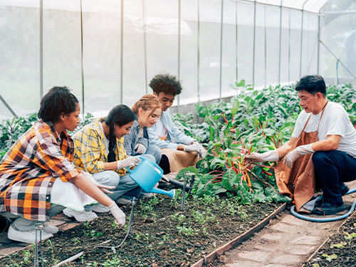 Students working in a greenhouse.