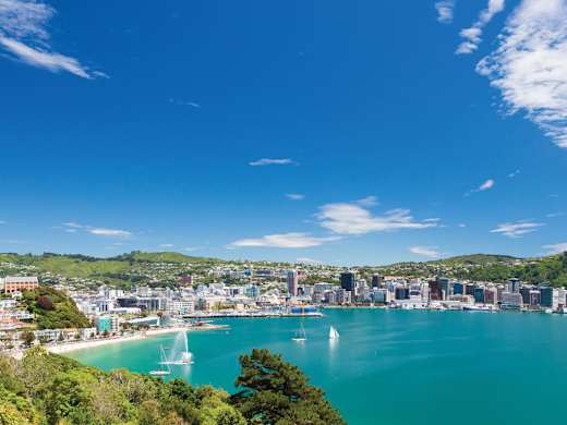 A seaside bay in Wellington, New Zealand.