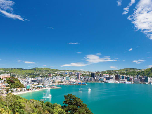 A seaside bay in Wellington, New Zealand.