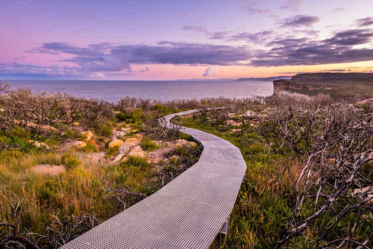 Royal National Park in Sydney, Australia.