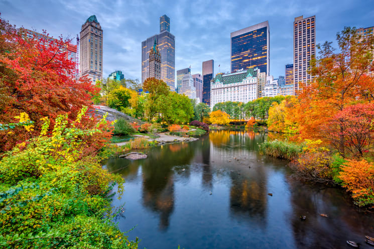 Central Park in New York City.