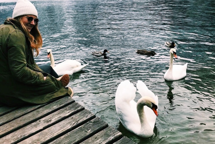A student watching swans in the water in Austria.