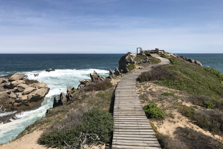 A path alongside the ocean and cliffs.