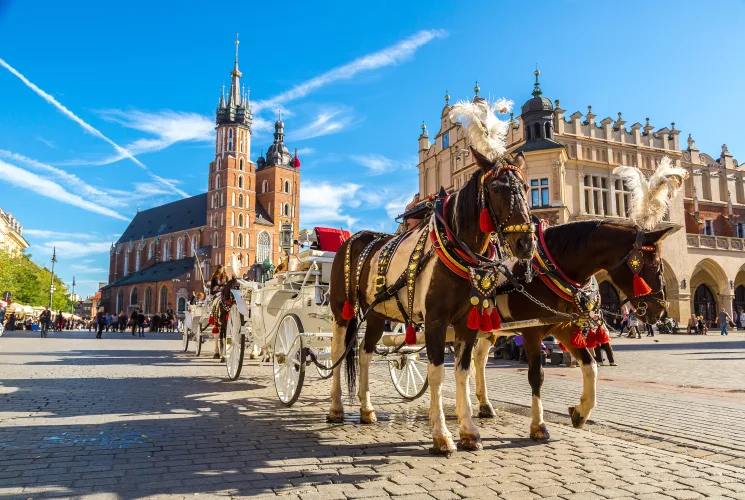 A horse carriage on a street in Kraków, Poland.
