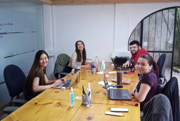 A group of interns in a conference room.