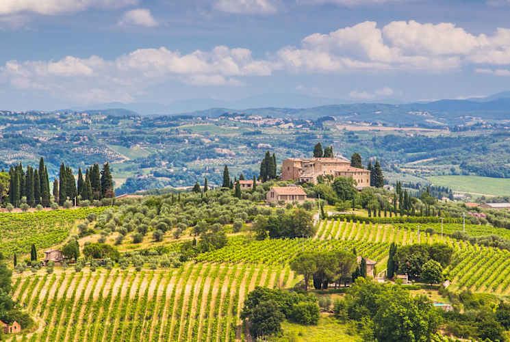 Wine region near Florence, Italy.