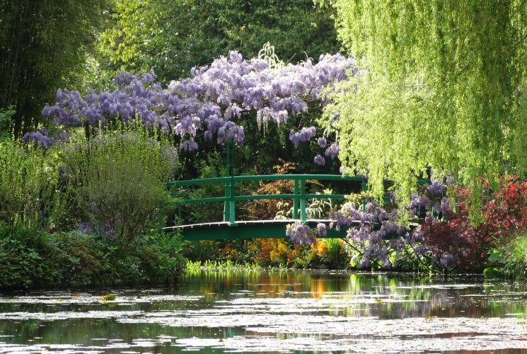 A bridge over a stream in Monet's garden.