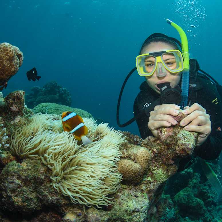 Snorkeling in Wollongong Australia.