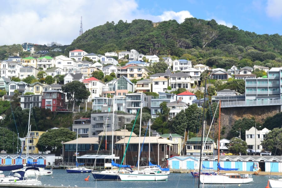 Wellington, New Zealand cliffside houses